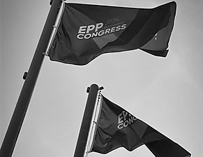 WhatsApp Image 2024-03-04 at 15.39_edited.jpg